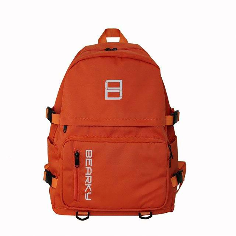 travel backpack (1)
